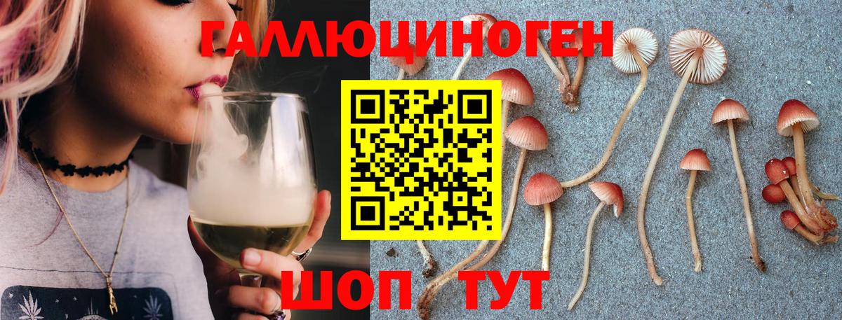 Галлюциногенные грибы GOLDEN TEACHER  что такое наркотик  Кинель  Вход с VPN 